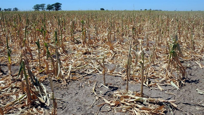 Alertan que el 55 por ciento de Argentina ya se encuentra bajo sequía