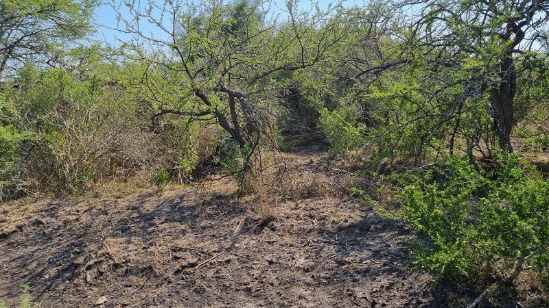 «Vivimos una situación que supera todos los límites, sin agua y pasto en el norte entrerriano», afirman desde la Federación Agraria