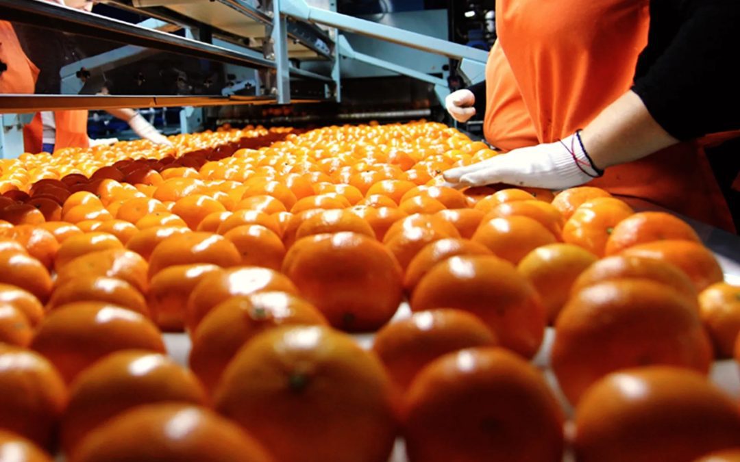 Bordet solicitó a Nación incluir la producción citrícola en la nueva edición del DolarAgro