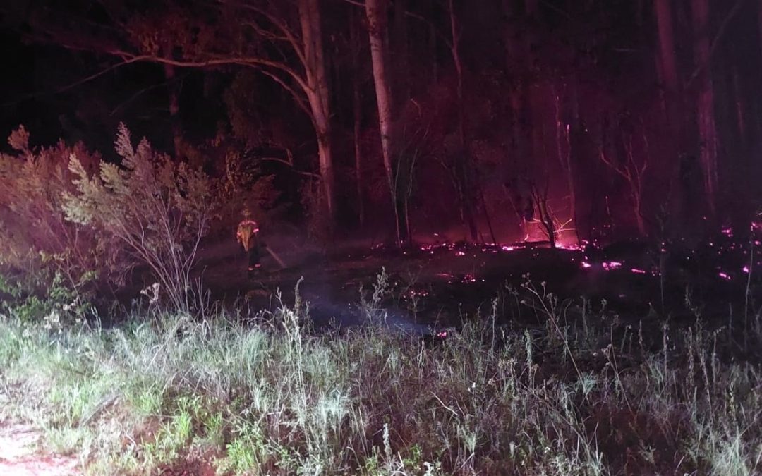 Bomberos de Villa del Rosario combatieron un incendio forestal