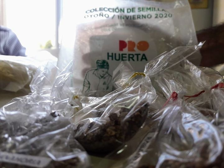 Entregarán semillas del Pro Huerta a vecinos de Villa del Rosario