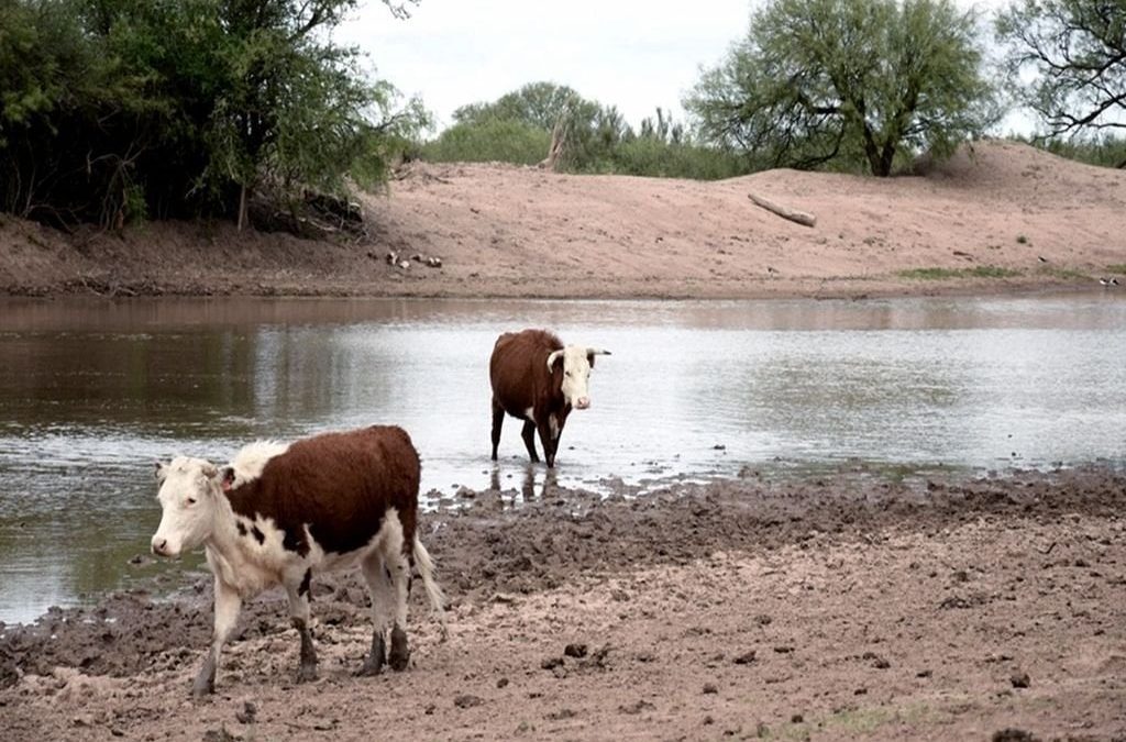 Sin lluvia: el verano 22/23 fue el tercero más seco en el país en más de 60 años