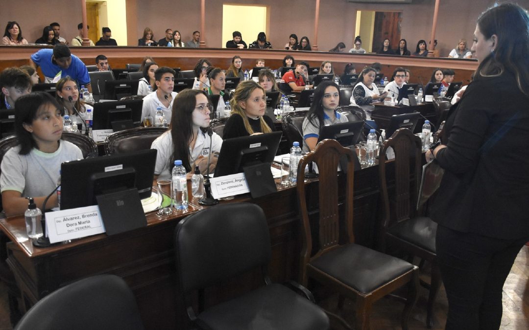 Joven de Villa del Rosario participó de un debate sobre la Ley de Centros de Estudiantes