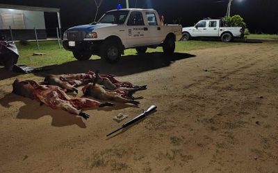 La Policía sorprendió a cazadores chajarienses con carpinchos faenados: les secuestraron un arma de fuego