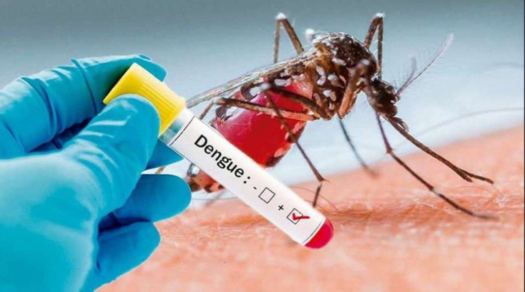 Detectaron un nuevo caso de Dengue en Chajarí