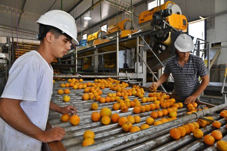 Capacitación a empresarios citrícolas en normas de calidad para la exportación