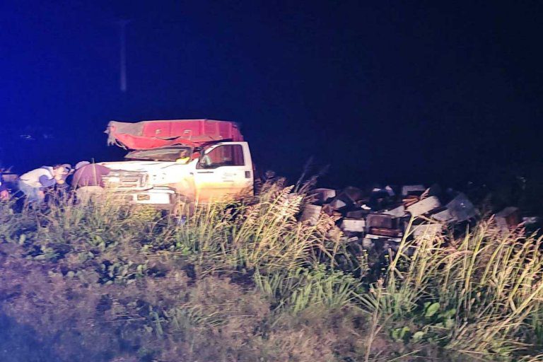 Autovía 18: Federaense volcó cuando transportaba cajones con colmenas y se le escaparon las abejas