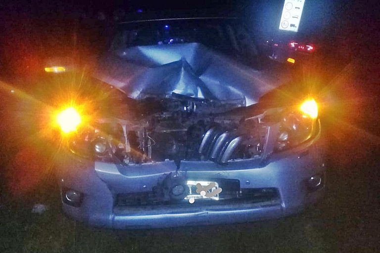Chajarí: Se iban de vacaciones y chocaron un vacuno sobre la Autovía 14