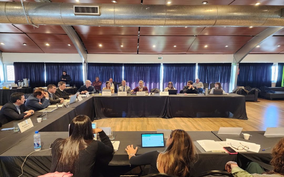 Entre Ríos plantea hacer una zona portuaria público-privada en Ibicuy, en el marco de la hidrovía