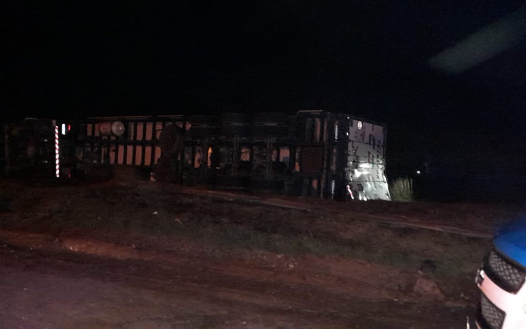 Autovía 14: Camión que transportaba peras hacia Brasil volcó en la rotonda de Federación