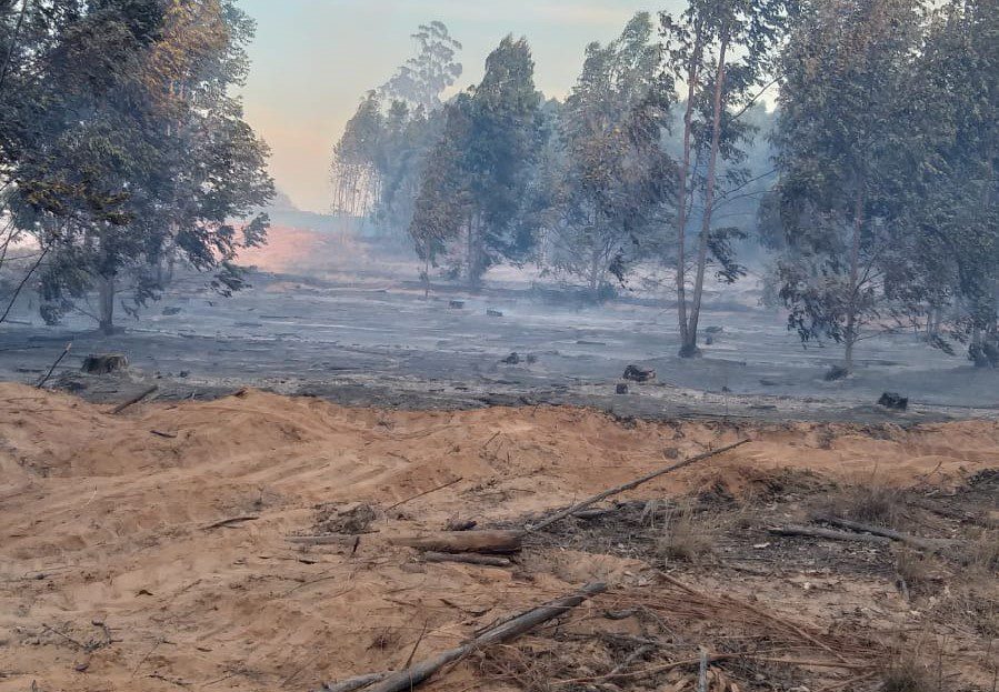 Bomberos de Villa del Rosario intervinieron en un incendio forestal en Colonia Belgrano