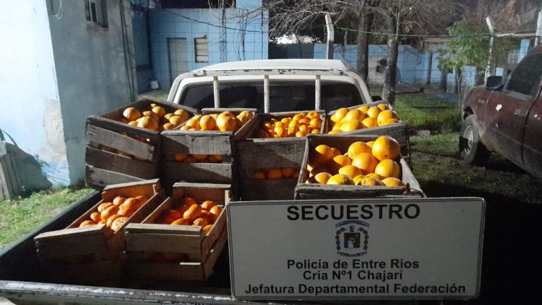 La Policía interceptó a un hombre que había robado frutas cítricas en una quinta de Ensanche Sauce