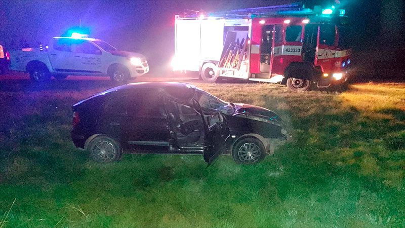 Auto chocó un caballo suelto sobre la Autovía 14 y una mujer sufrió graves heridas