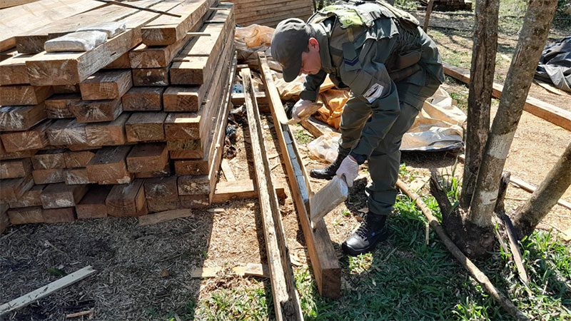 Incautan más de 2 toneladas de marihuana en el interior de vigas de madera
