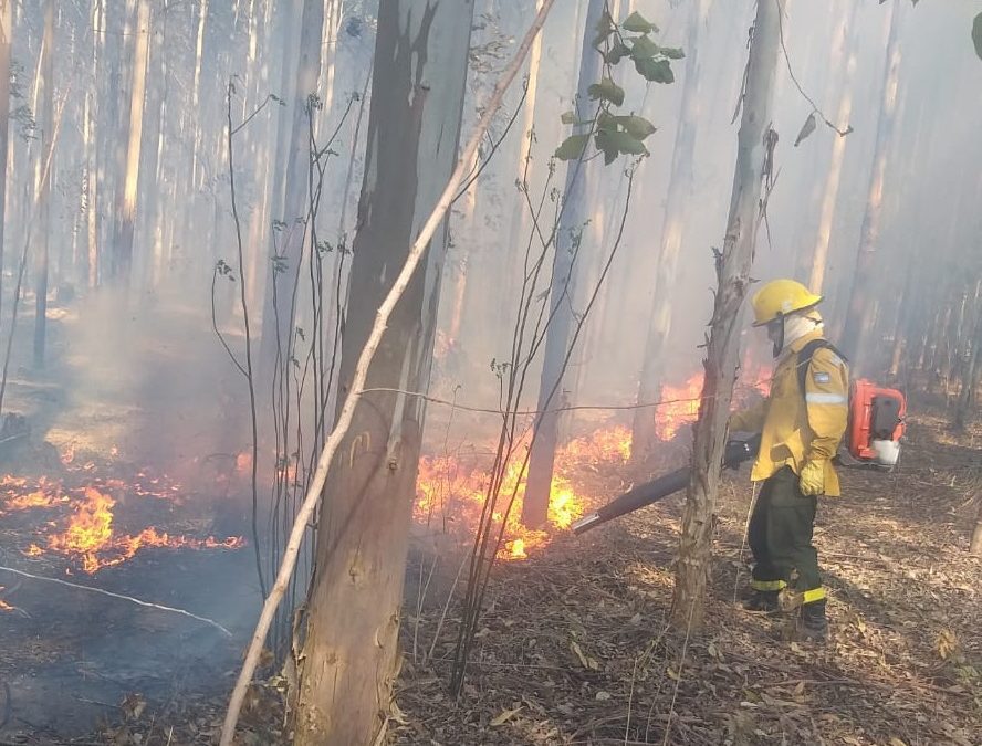 Bomberos sofocaron un nuevo incendio forestal en cercanías de Villa del Rosario