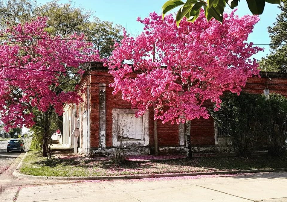 La primavera llega con aumento de las temperaturas y sin pronóstico de lluvia