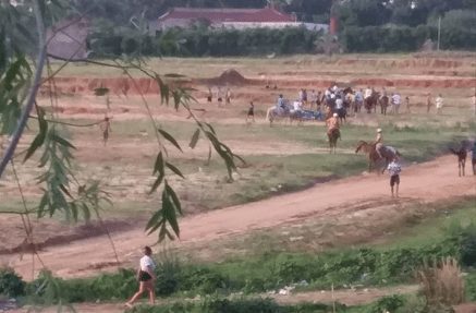 Heridos de bala en cuadreras clandestinas de Concordia