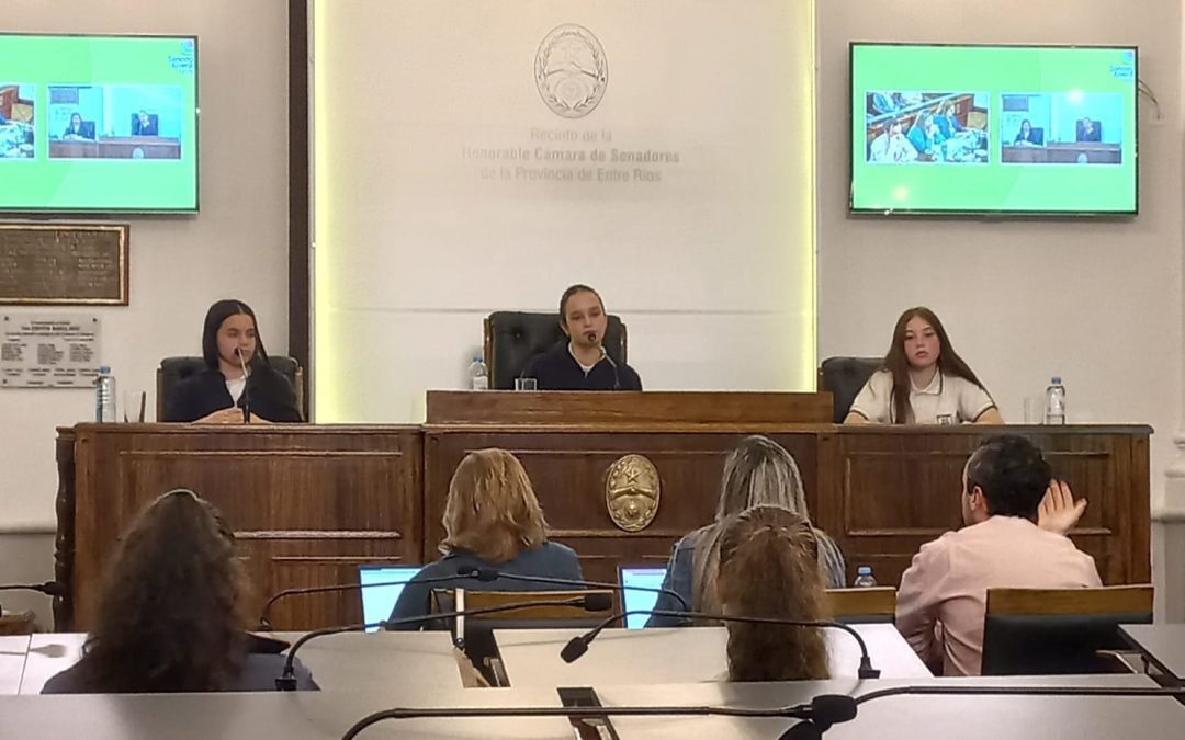 Estudiantes de Villa del Rosario participaron del Senado Juvenil