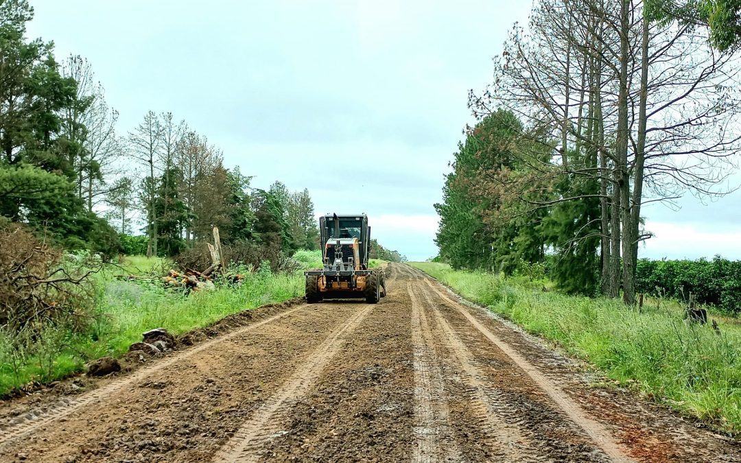 El Municipio repasa caminos y realiza mantenimiento de espacios públicos