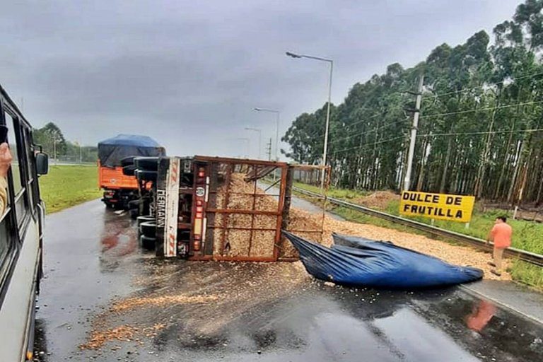 Acoplado cargado con chips de madera volcó sobre la Autovía 14
