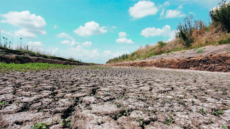 Hubo pérdidas por 570 millones de dólares en Entre Ríos por la sequía