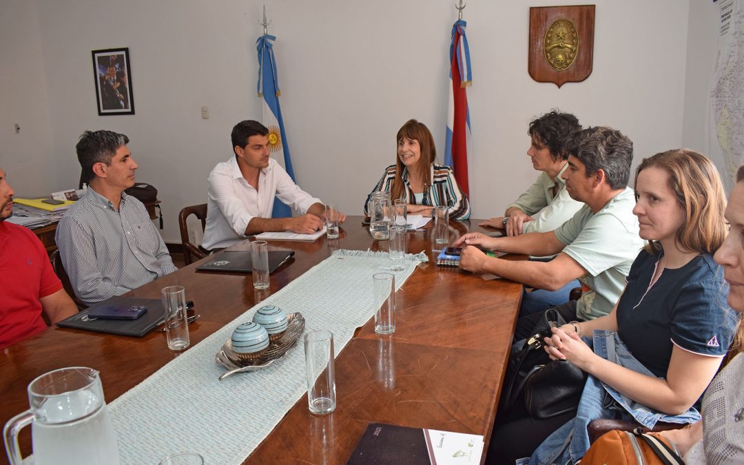 Salud informó los alcances del decreto de designaciones interinas de profesionales