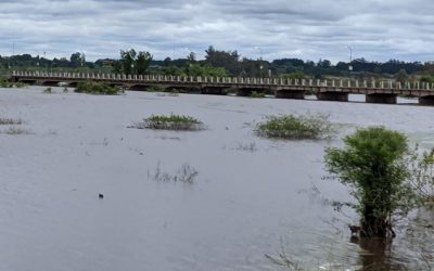 Fenómeno “El Niño”: Funcionario provincial advirtió que “se habla de lluvias y crecidas extraordinarias»