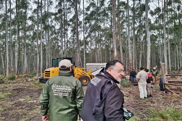 Rescataron a tres víctimas de explotación laboral en un establecimiento rural de la región