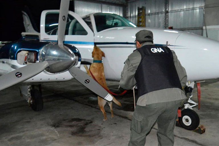 Procesaron a la banda que traficaba cocaína en una avioneta hallada en Entre Ríos