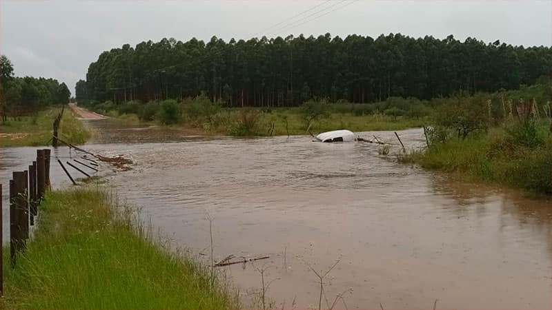 Auto fue arrastrado por arroyo y el conductor alcanzó a salir