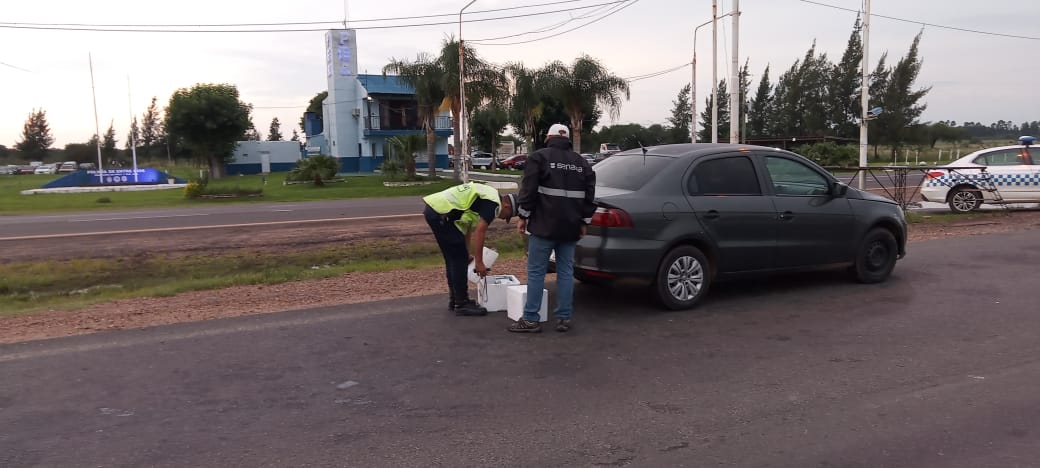 Paso Cerrito: Volvieron a secuestrar vacunas contra la encefalomielitis equina cerca de Chajarí