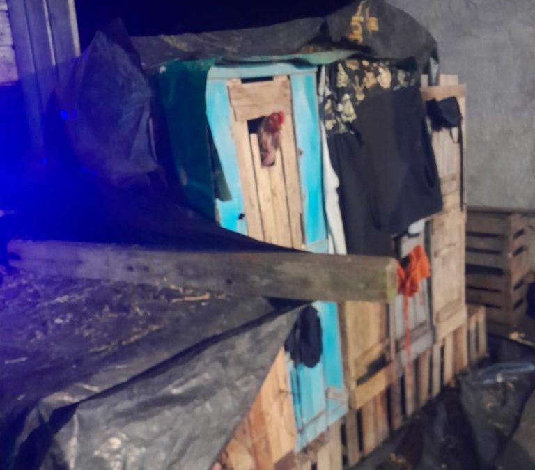 Colonia Ensanche Sauce: La Policía irrumpió en una finca donde se realizaban riñas de gallos e identificó a 60 personas