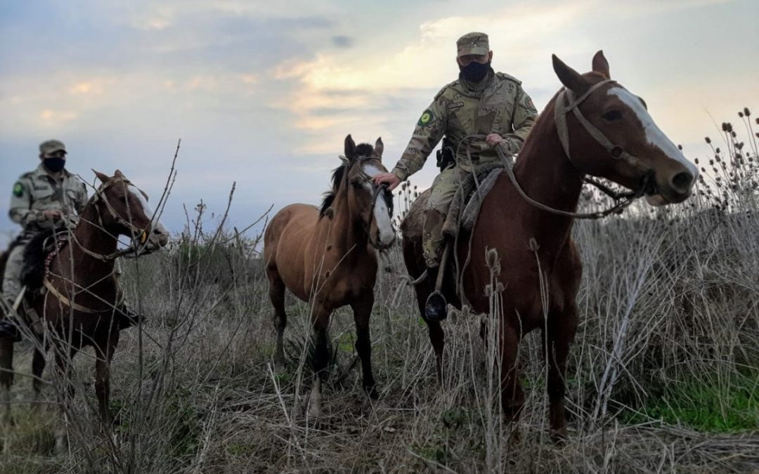 Confirmaron caso de Encefalomielitis Equina en Los Conquistadores