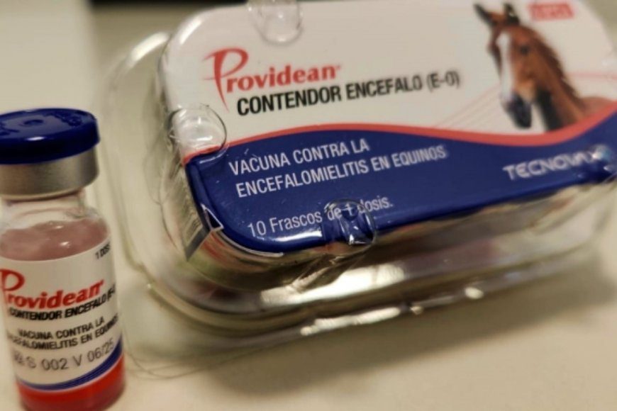 Senasa aprobó vacunas contra la encefalomielitis equina: Estarán disponibles en Entre Ríos