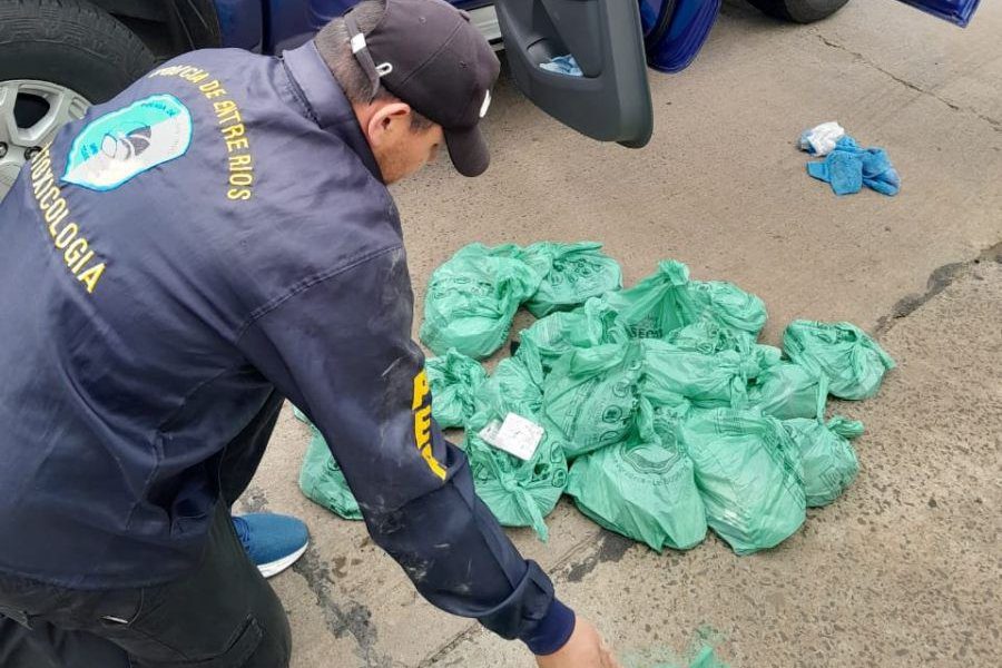 San Jaime: secuestraron más de 38 mil comprimidos de la «droga de la violación»