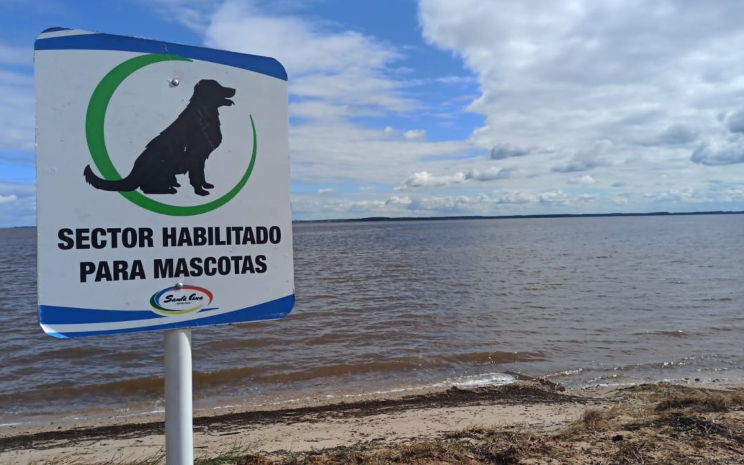 Habilitarán un sector para mascotas en playas de Santa Ana