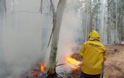Prohíben las quemas en Entre Ríos por el alto riesgo de incendios: Cómo contactarte con Bomberos de Villa del Rosario ante condiciones de riesgo