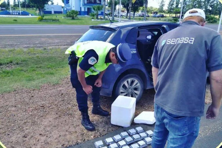 Autovía 14: La policía detectó partidas ilegales de vacunas contra la encefalomielitis cerca de Chajarí