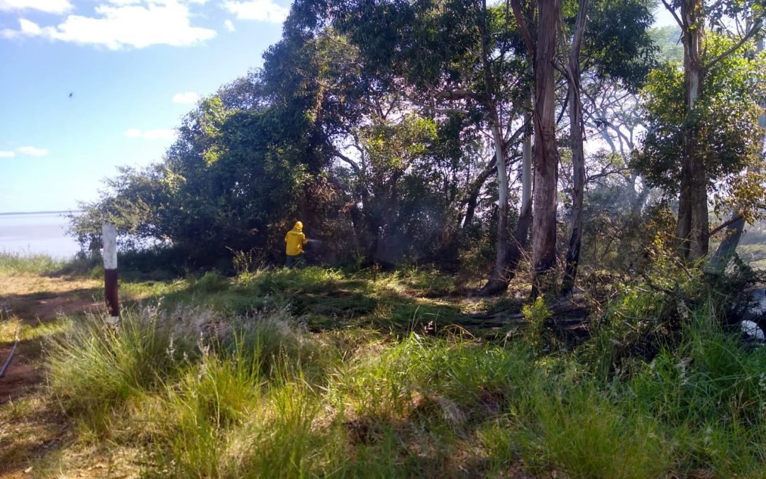 Bomberos de Villa del Rosario extinguieron un incendio forestal en zona rural de Santa Ana