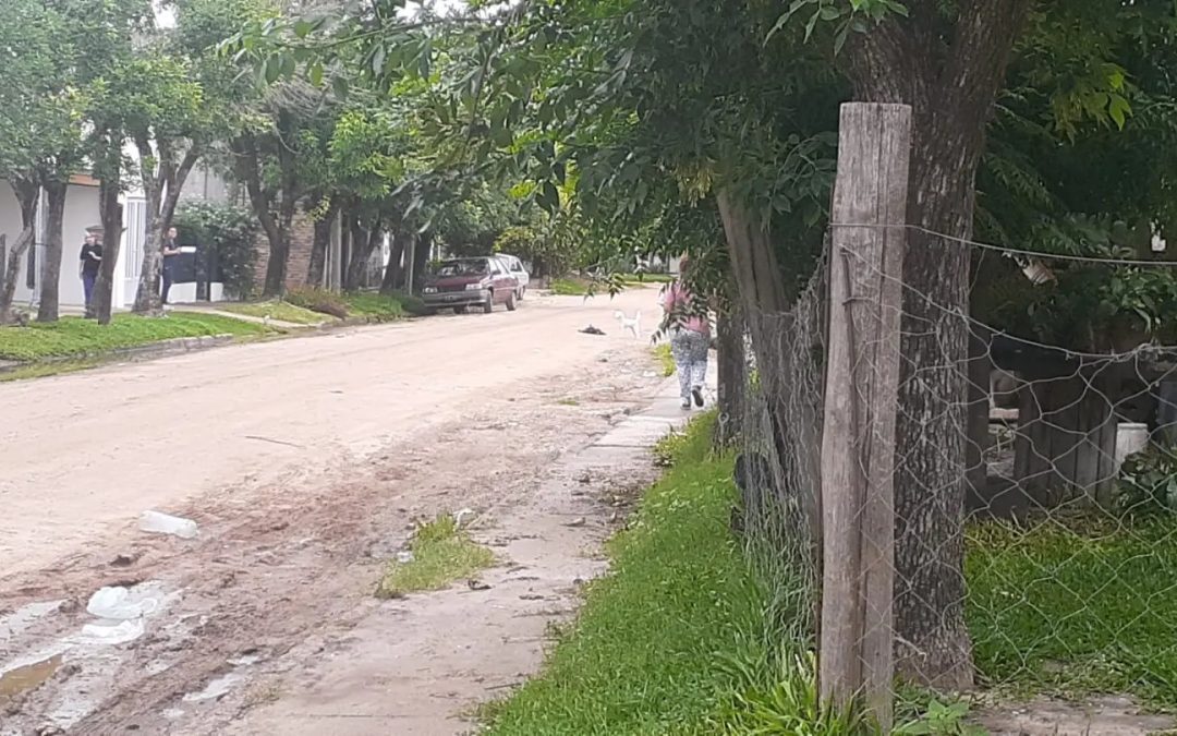 Detectaron 3 nuevos casos de dengue en Chajarí