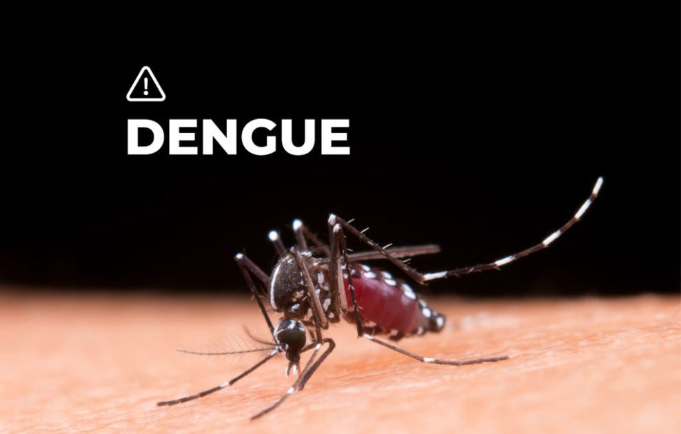 Confirman dos nuevos casos de dengue en Chajarí: ya son 10