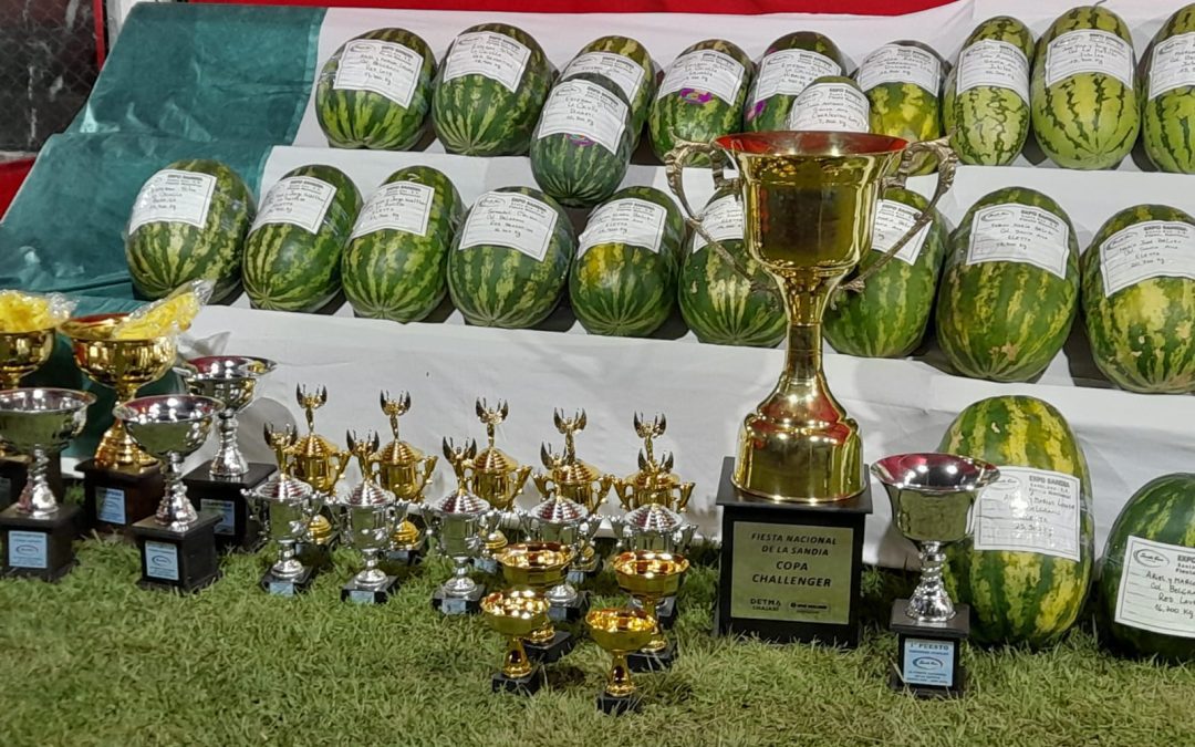 Santa Ana: Conocé a los ganadores de la Expo Sandía 2024