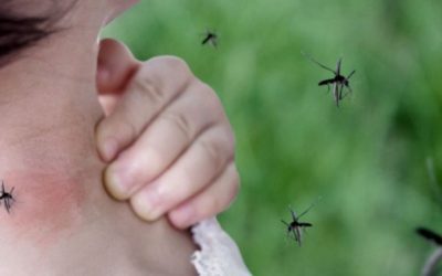 Por el incremento de casos ya se considera positivo a toda persona con síntomas de dengue en Concordia