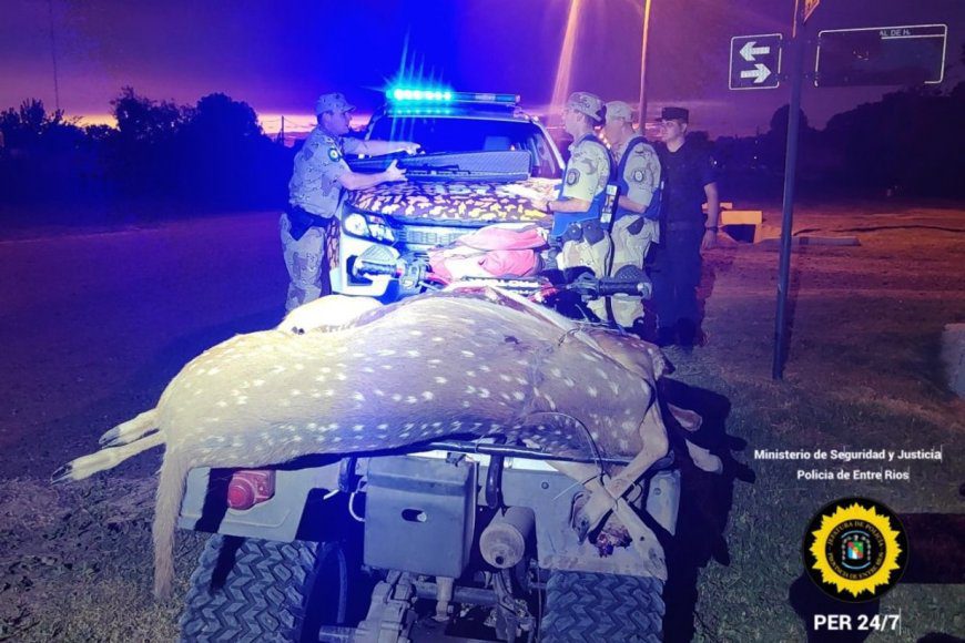 Viajaba de madrugada con tres ciervos faenados, sin licencia ni permiso para cazar