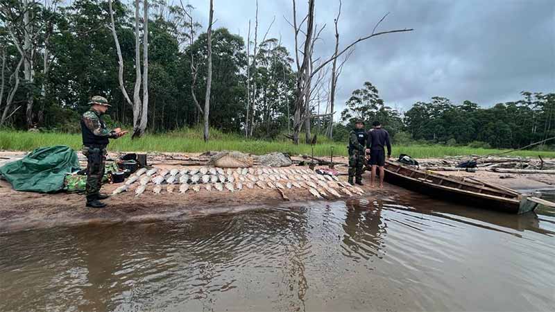 Operativo “Pasión de Sábalo”: Secuestraron 300 kilos de pescados en el río Paraná