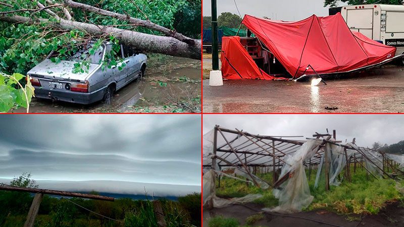 Fuerte temporal de lluvia y viento causó destrozos en localidades entrerrianas
