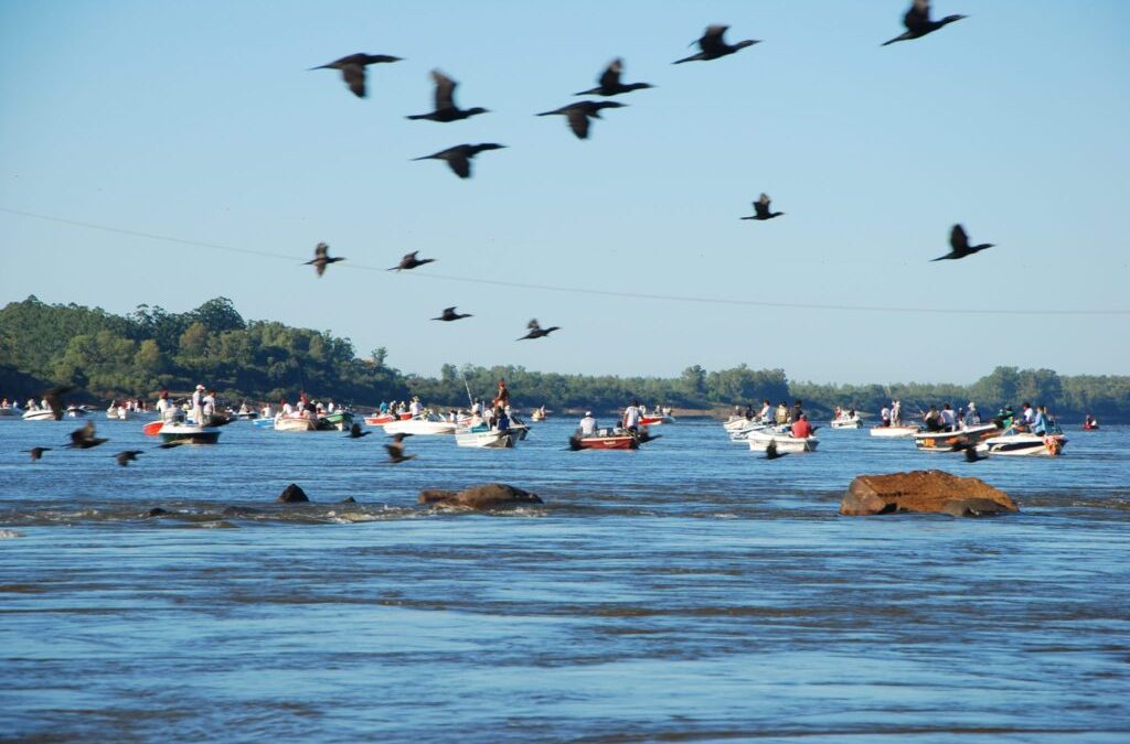 Se viene la trigésima primera edición Fiesta Nacional Pesca de la Boga