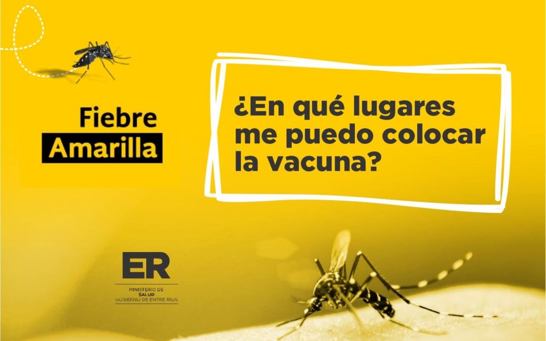 En caso de viajar a Brasil o el norte argentino, recomiendan vacunarse contra la fiebre amarilla