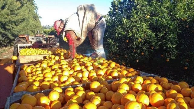 El fracaso de la Ley Ómnibus trajo “alivio a los pequeños y medianos productores”, según Federación Agraria de Entre Ríos