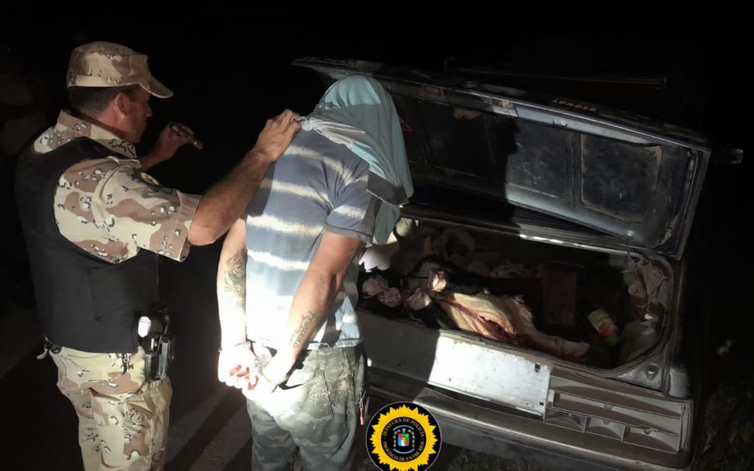 Detienen a individuo con animal vacuno faenado y estupefacientes en su vehículo